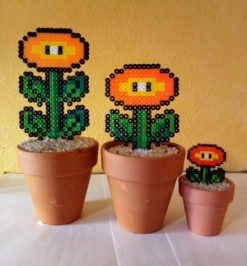 Pot de fleur fleur orange