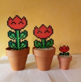 Pot de fleur fleur rouge